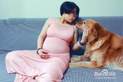 哺乳期妈咪饮食需多加注不排卵能做试管婴儿吗